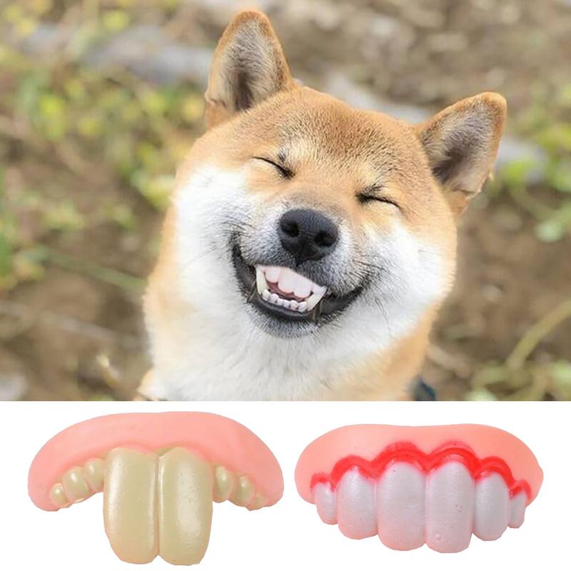 Huisdier CorgiDog Valse Tanden - 3D Printing Tooth recensie en prijs