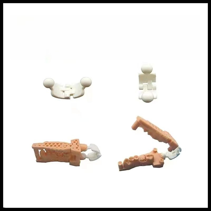 100 stuks 3D-geprinte beetfram - 3D Printing Tooth recensie en prijs