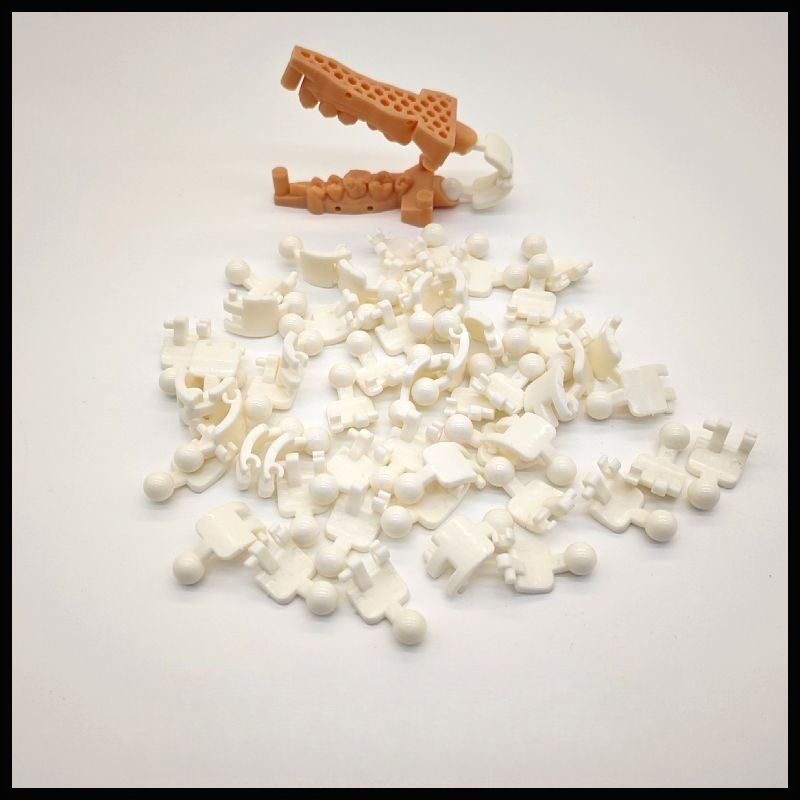100 stuks 3D-geprinte beetfram - 3D Printing Tooth recensie en prijs